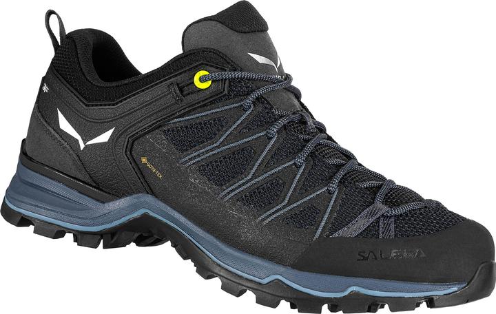 Produktbild Salewa MTN Trainer Lite GTX Schuhe (43)