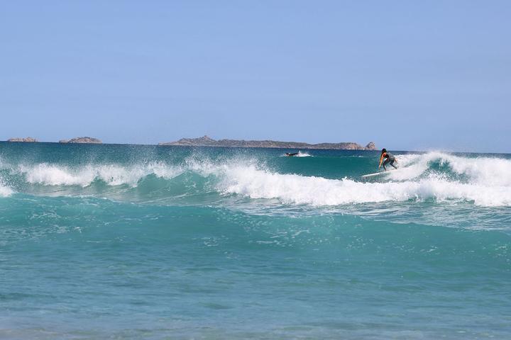 Immagine prodotto Indiana 7'10 Surf gonfiabile (7'10")