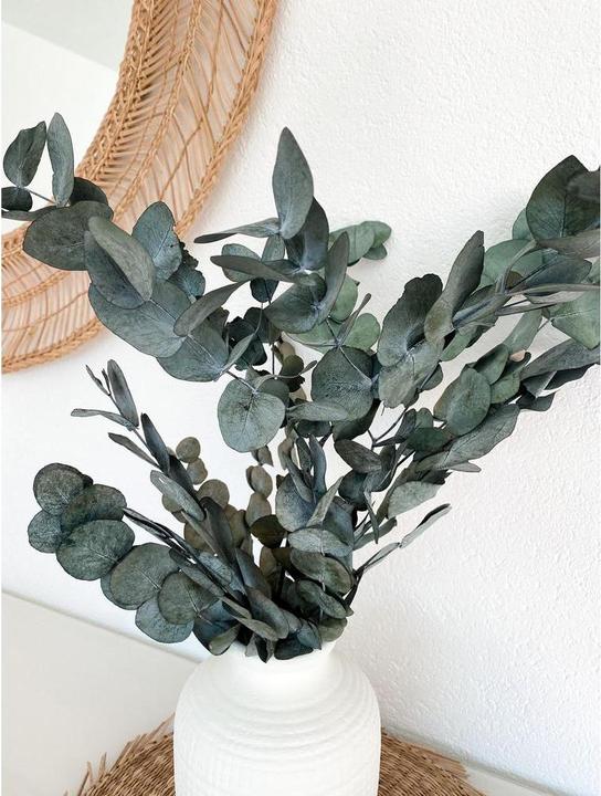 Produktbild Soli Collection Trockenblumen Eukalyptus (Trockenblumen)
