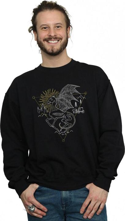 Actual product image Mens Thestral Line Art Sweatshirt (XL)