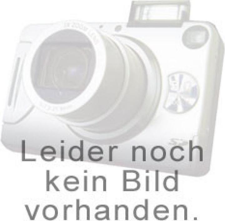 Panasonic Sanyo Stange 2 x KRDHL DEL Cadnica Mono NiCd mit Faston (2 Stk., 4000 mAh)