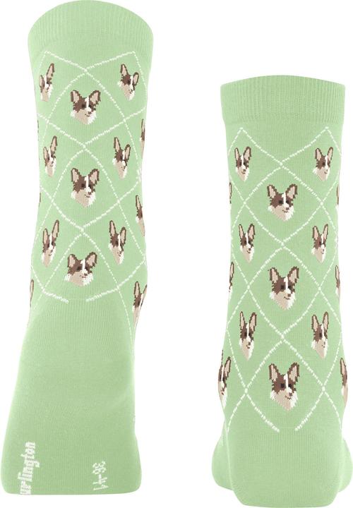 Produktbild Burlington Socken "Corgi" mint (36 - 41)
