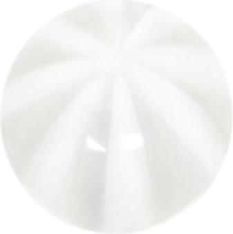 Immagine prodotto Bijouteria Piercing (Plexiglas)