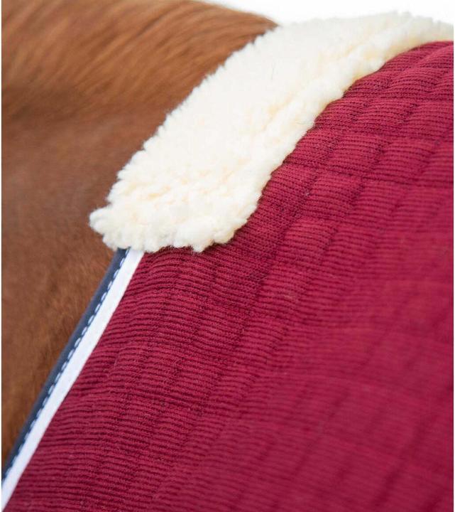 Immagine prodotto Premier Equine Premtex (168 cm)