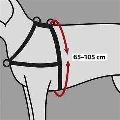 Produktbild Trixie Lead n Walk Ausbildungsgeschirr L-XL (L, XL, Hund, Allgemein)