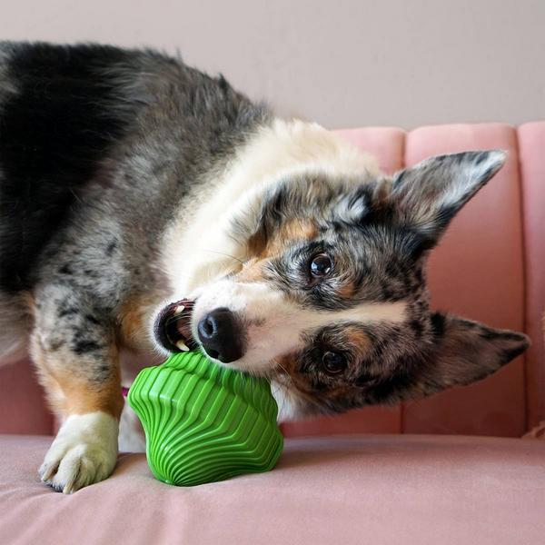 Actual product image KONG Squeezz Orbitz Spin Top M/L, 11.45 cm, assorted (Dog chew toy)