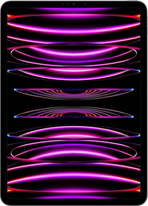 Image du produit Apple iPad Pro 2022 (4. Gen) (WLAN uniquement, 11", 2000 Go, Space grey)