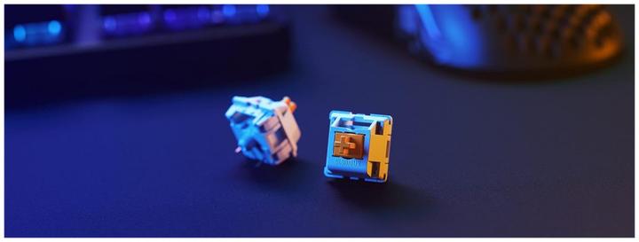 Actual product image Glorious PC Gaming Race Panda Switches