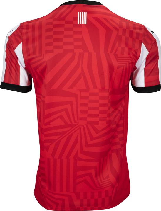 Productafbeelding Puma Southampton FC thuisshirt (L)
