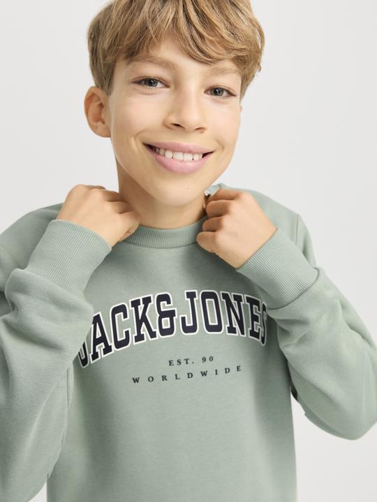 Immagine prodotto Jack & Jones Jjecaleb Varsity Sweat Crew Neck Sn Jnr (176)