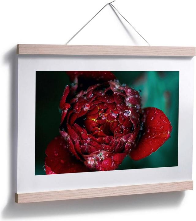Produktbild Trenddeko Pfingstrose nach dem Regen (30 x 24 cm)