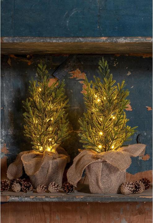Actual product image STT Nordic Tree
