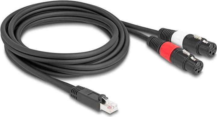 Actual product image Delock Adapter cable RJ45 plug to 2 x XLR 3 pin socket black 2 m (88176) (2 m, CAT)