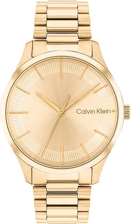 Calvin Klein Iconic Armband Damenuhr 25200043 + BOX