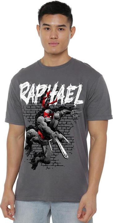 Immagine prodotto Teenage Mutant NT Maglietta Raffaello Uomo (4XL)