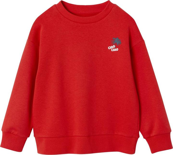 Produktbild Vertbaudet Jungen Sweatshirt mit Urlaubsmotiv hinten, Recycling-Polyester (158)