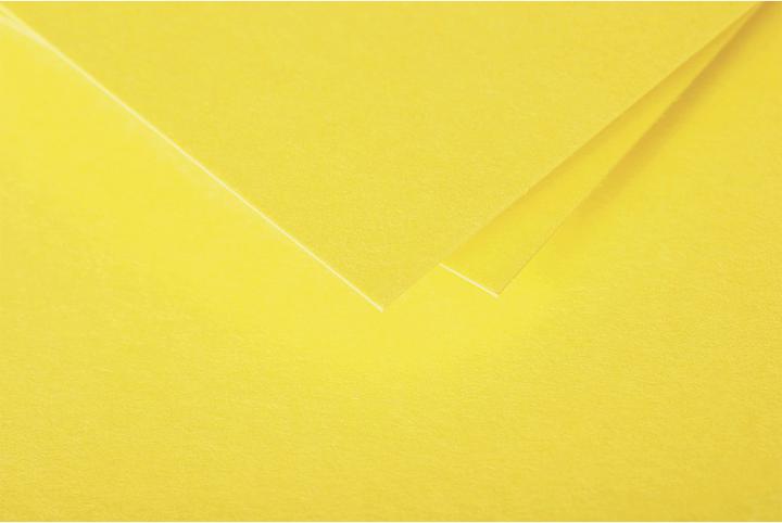 Produktbild Pollen Packung mit Karten (210 g/m², 82 x 128 mm)