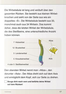 Produktbild Ich kenne meinen Körper - Skelett, Muskeln und Wirbelsäule (Deutsch, Katrin Langhans, 2015)