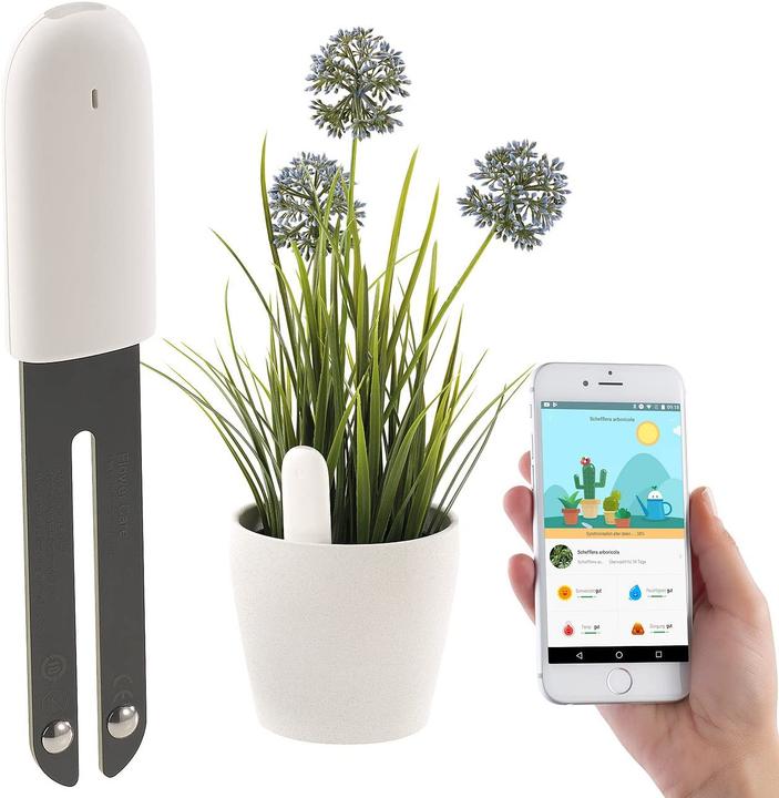 Produktbild Royal Gardineer 4in1-Pflanzensensor (Bewässerungssensor)