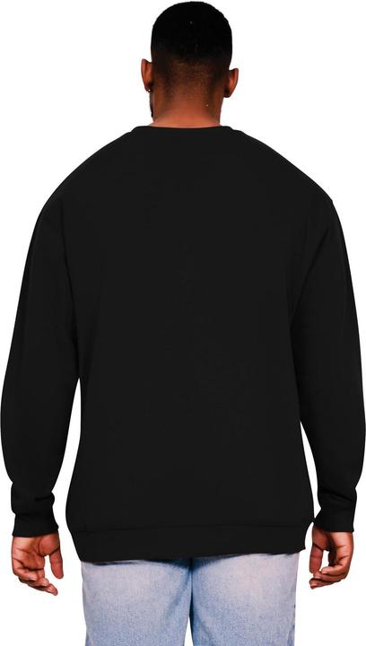 Image du produit Universal Textiles - Sweat - Homme (XL)