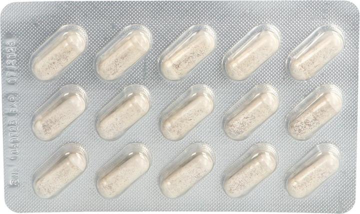 Actual product image Hänseler Angelica (90 Piece, Capsules, 75 g)