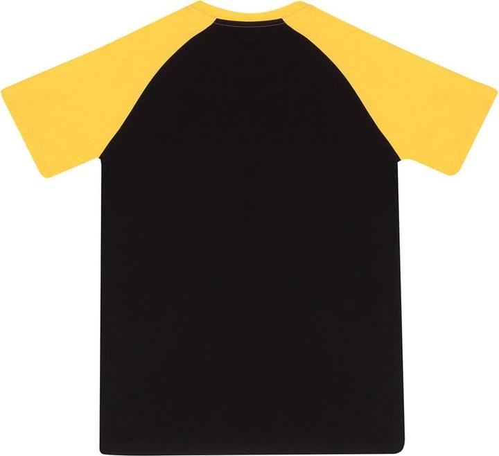 Immagine prodotto Heroes Inc Harry Potter T-Shirt Hufflepuff Grösse XL (XL)