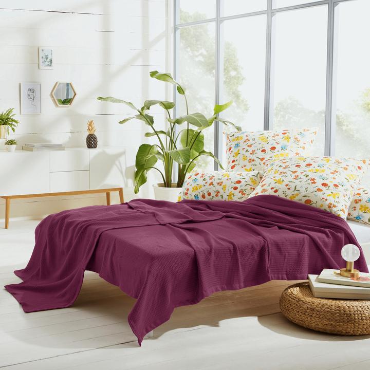 Immagine prodotto Erwin Müller Coperta estiva (220 x 240 cm)