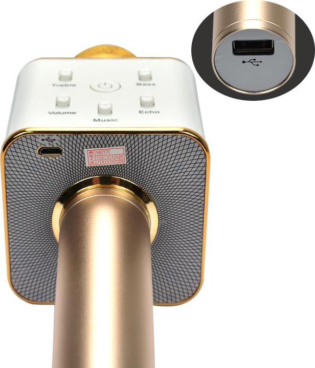Image du produit JTI Microphone de karaoké KTV