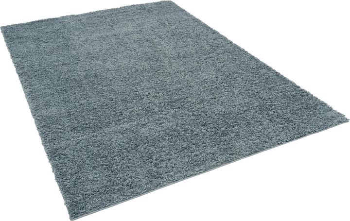 Image du produit Pergamon Hochflor Langflor Shaggy Teppich Fluffy (140 x 200 cm)