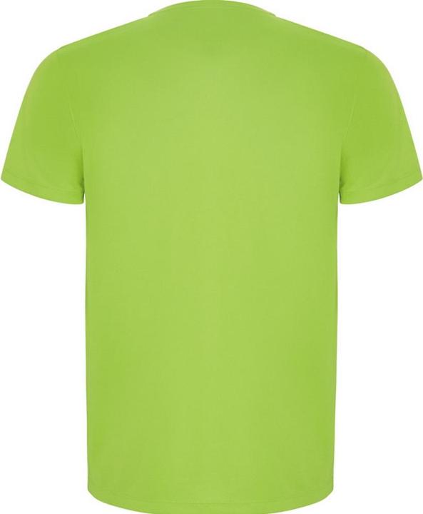 Actual product image Alpinia Mens Imola Short-Sleeved Sports T-Shirt (S)