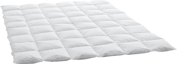 Image du produit Swiss Dream by billerbeck Support de cassette CLC 90 (650 g, 160 x 210 cm)