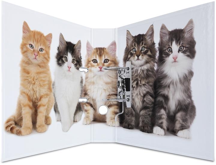 Actual product image HERMA A4 folder motif (A4, 70 mm, 1 Piece)