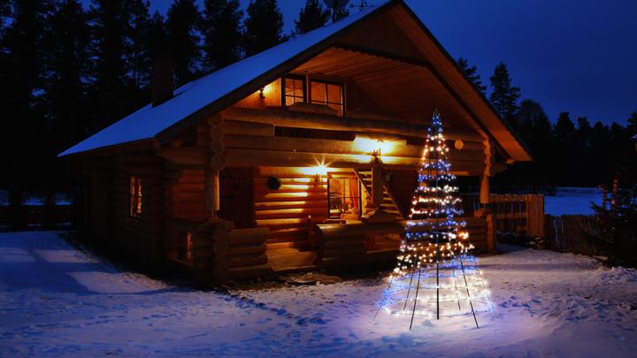 Actual product image Twinkly Light tree