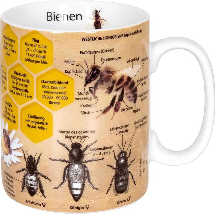 Immagine prodotto Könitz Tazza da caffè Knowledge Bee 490 ml, 1 pezzo, Multicolore (490 ml, 1 x)