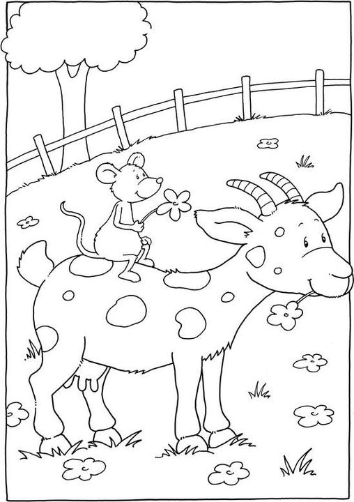 Actual product image Farm