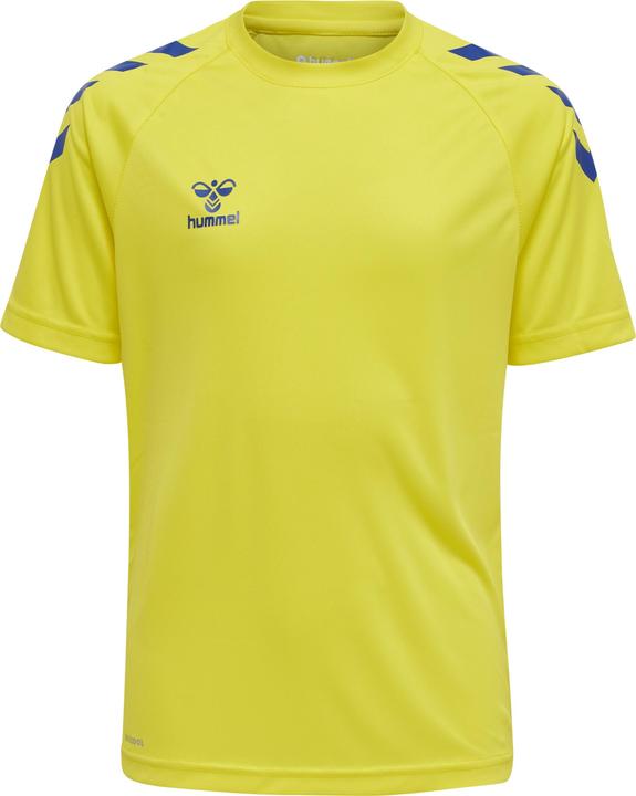 blazingyellowtrueblue