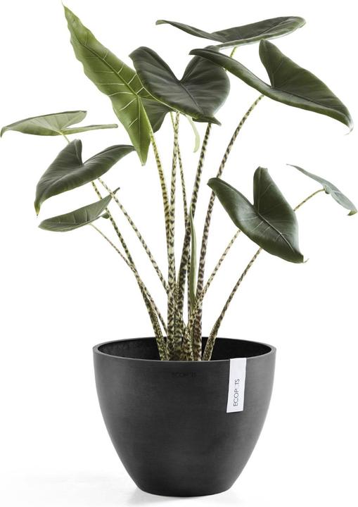 Produktbild Ecopots Antwerp (30 cm)