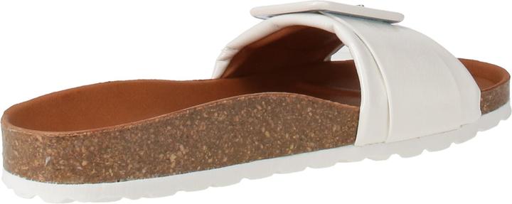 Actual product image Verbenas Reiko (41)