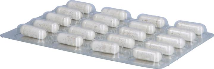 Actual product image Dr. Wolz Darm Pro Rds (60 Piece, 1053 ml, 75 g)