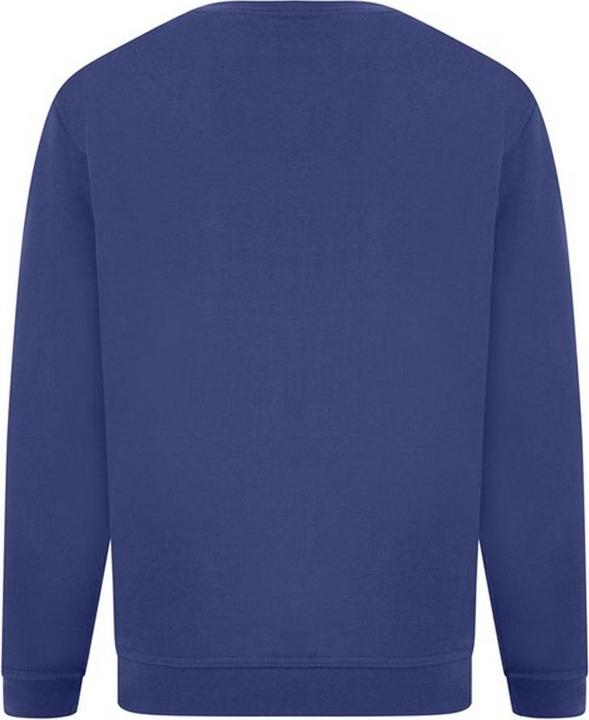 Actual product image Absolute Apparel Sterling jumper (S)