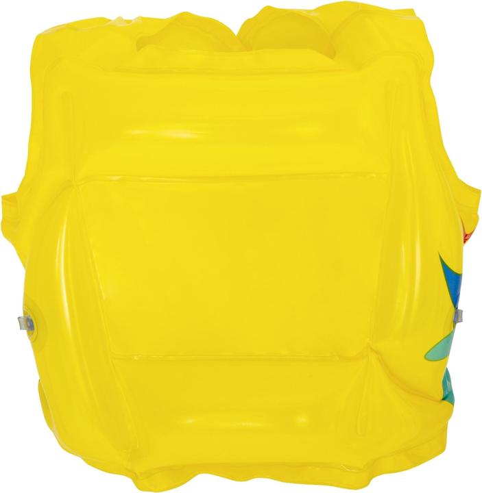 Actual product image Bestway Supplier did not provide product name (18-30 kg)