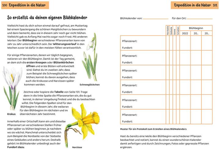 Produktbild Kosmos Was blüht denn da? Kindernaturführer (Deutsch, Heike Herrmann, Ursula Stichmann-Marny, 2022)