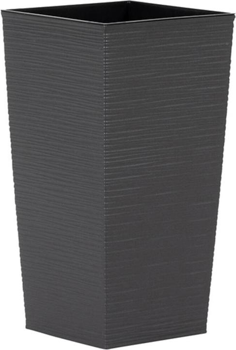 anthracite groove