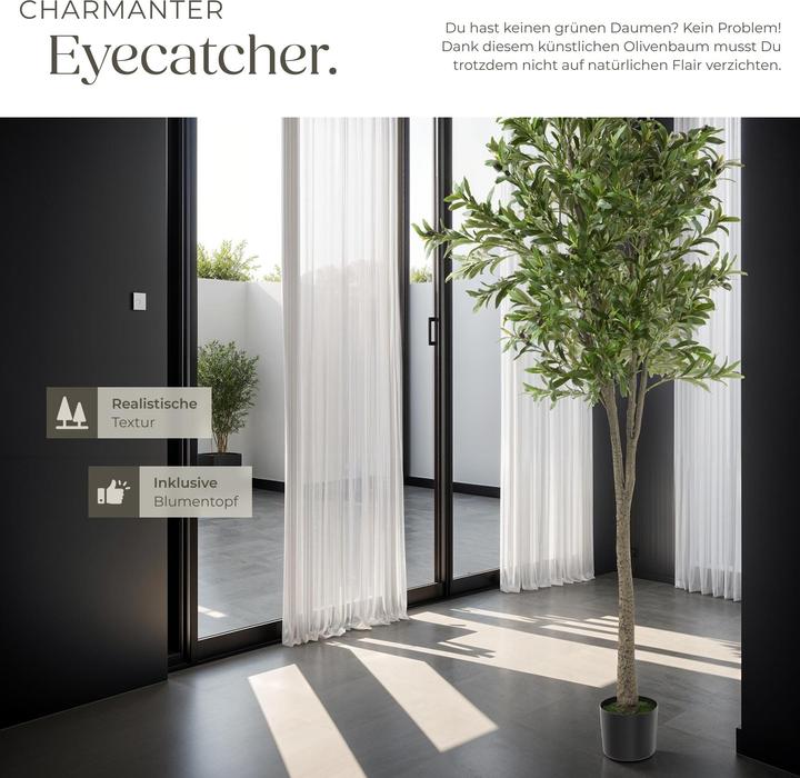 Image du produit tectake Olivier Oleand (210 cm)