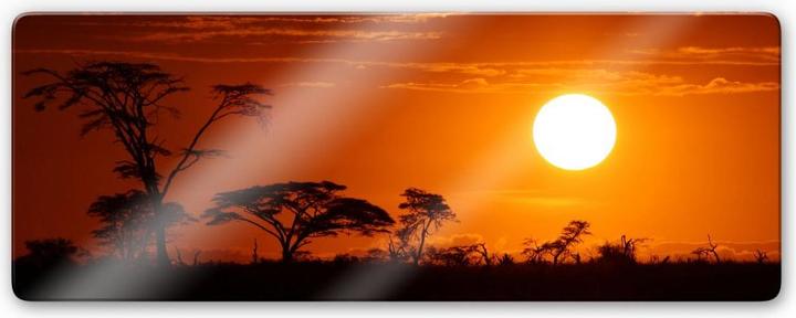 Image du produit Trenddeko Panorama de la steppe africaine (120 x 50 cm)