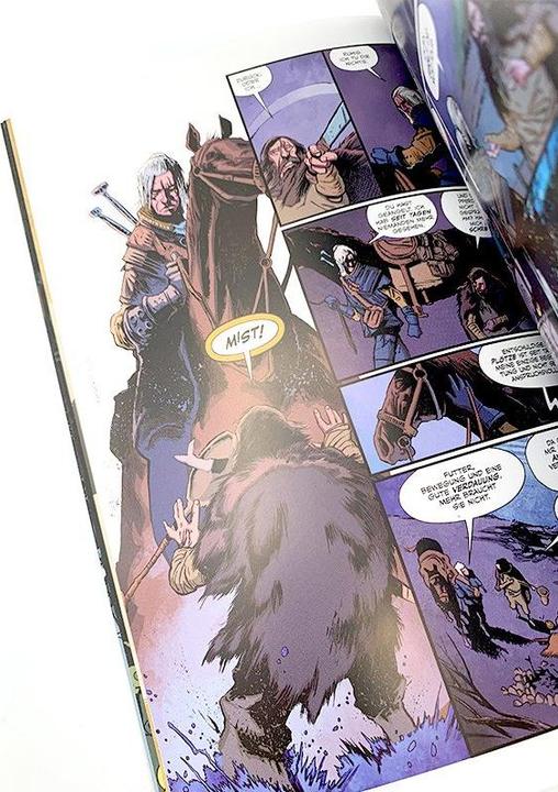 Image du produit Panini The Witcher 01. Im Glashaus (Allemand, Paul Tobin, 2014)
