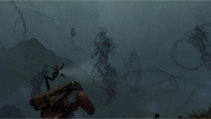 Actual product image Sony Death Stranding PlayStation 4, PlayStation 4 Pro (PS4, DE)
