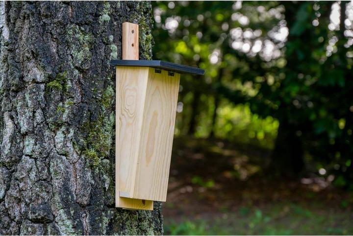Actual product image Dobar Treecreeper nesting box, wood