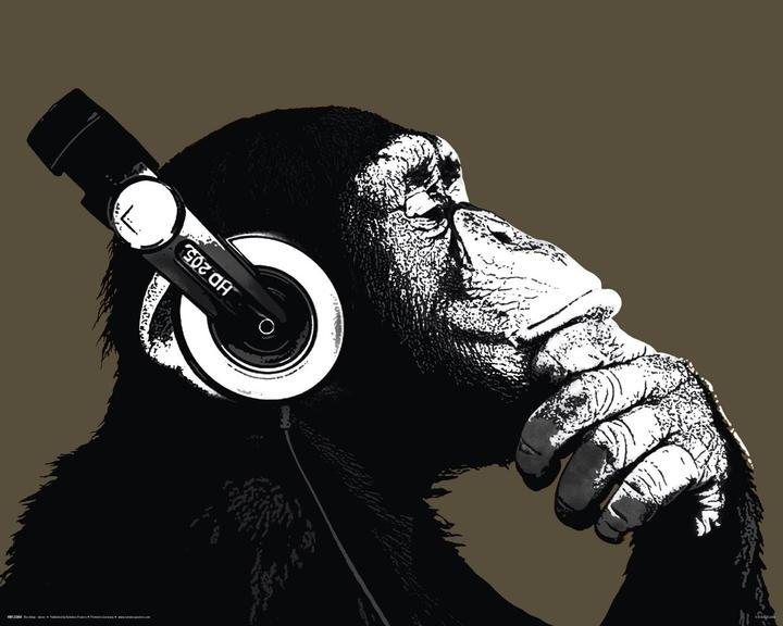 Produktbild Eibert Visual The Chimp stereo (40 x 50 cm)