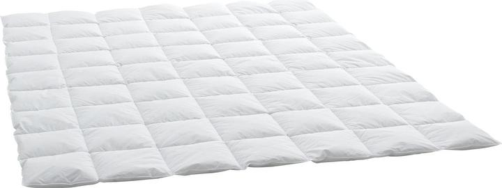 Actual product image Billerbeck Edition Thea Clima Superlight (360 g, 200 x 210 cm)